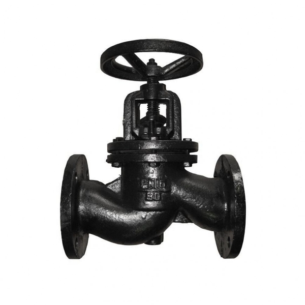 Клапан запорный чугунный, 15кч16нж Ду65 Ру25 фл.