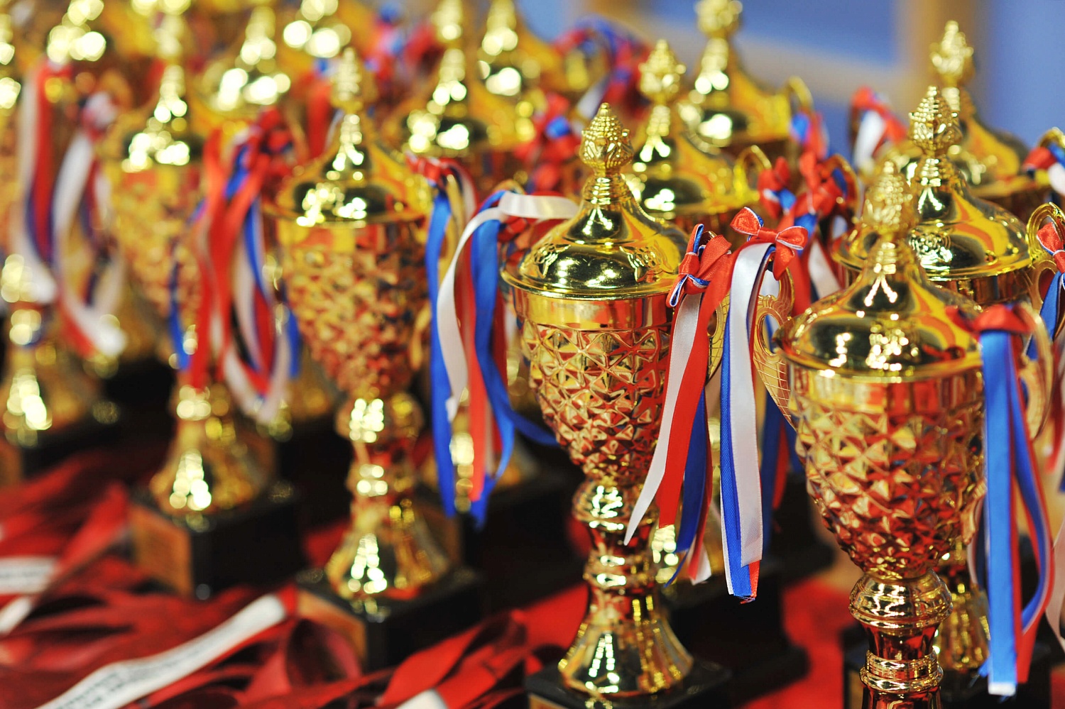 11 мая в г. Ярославль состоялись межрегиональные соревнования по кудо в память ВОВ на призы Спортивного клуба «Кудо Ярославич» при поддержке ООО «Компания Технология»!